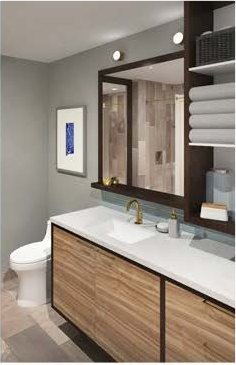 Unit bath render with vanity millwork and tiled shower